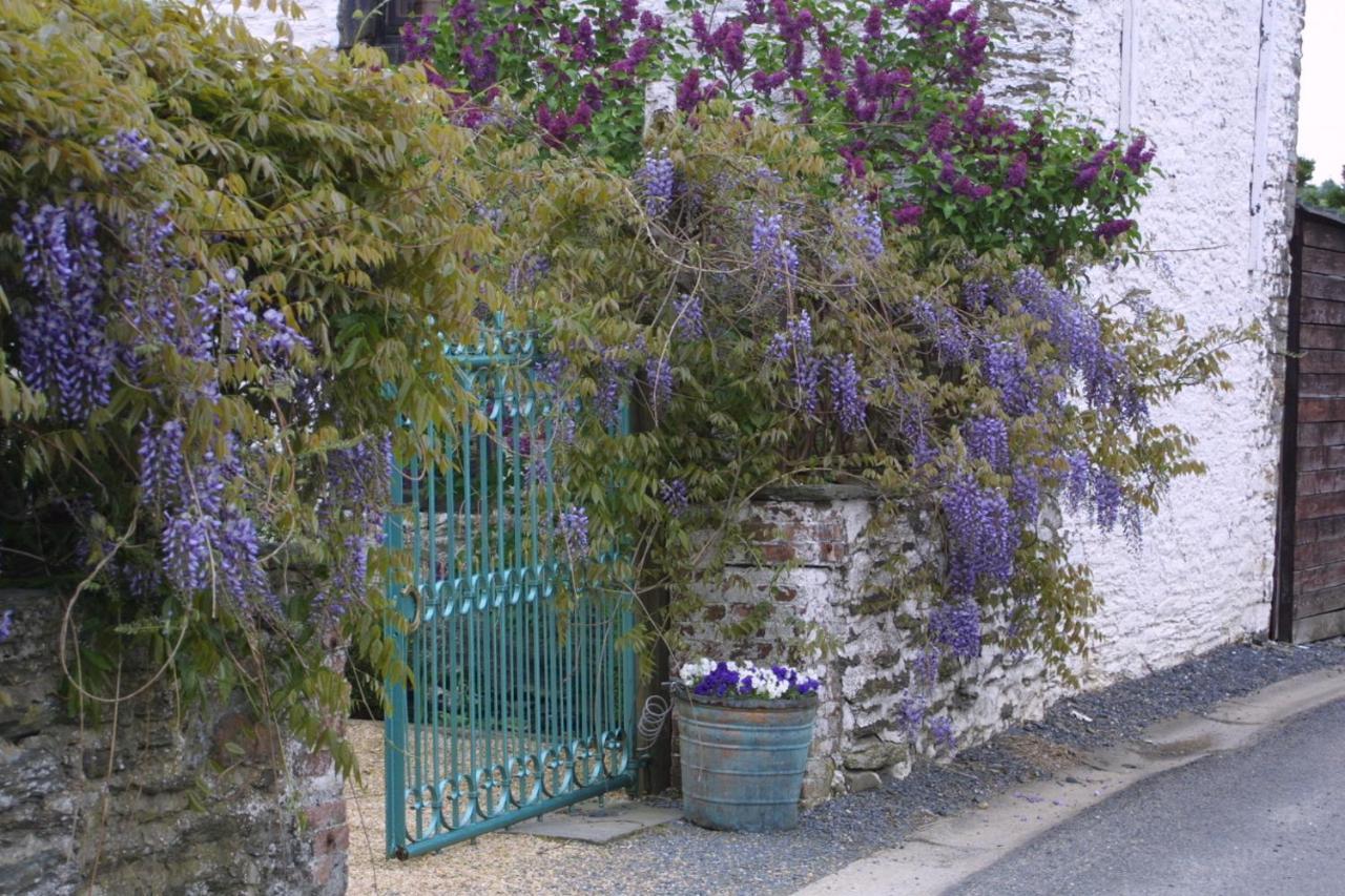La Vie En Rose Hotel Gouvy Bagian luar foto